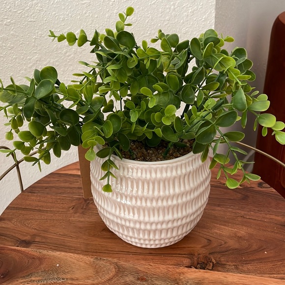 Accents Faux Plant In Pot Poshmark